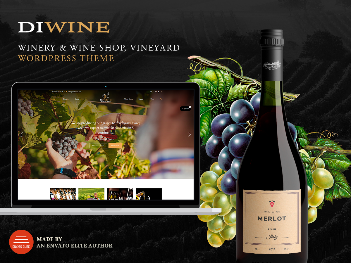 Diwine – Winery & Wine Shop, Vineyard WordPress Theme